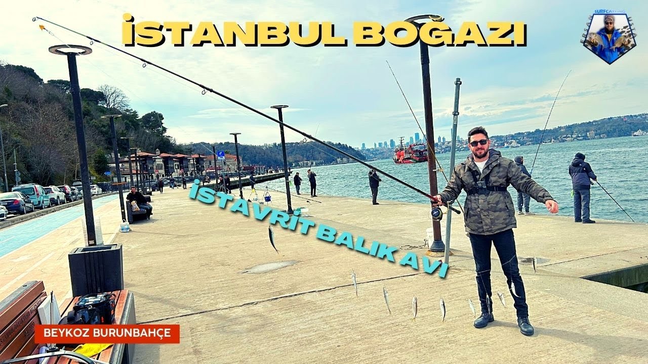 İSTANBUL BOĞAZI | İSTAVRİT BALIK AVI | BEYKOZ BURUNBAHÇE | ÇAPARİ İLE İSTAVRİT AVI #fishing #fish