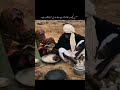 زندگی ہر قدم مشکل ہے#reels #duet #love #fypage #reels