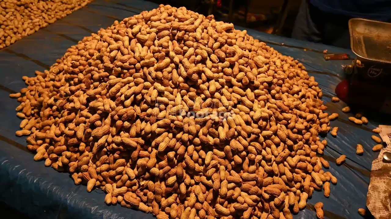 Hot Roasted Peanuts For Sale  - 12/25/2025