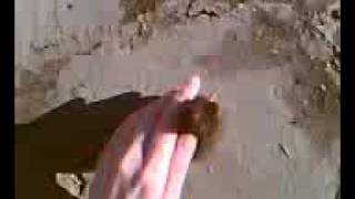 Video059