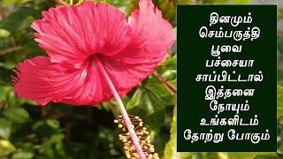 செம்பருத்தி பூவை பச்சையாக சாப்பிடுவதில் உள்ள ரகசியம் தெரியுமா? hibiscus flower in empty stomach