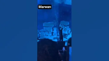 بابلو المبدأ 