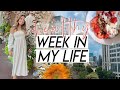 WEEK IN MY LIFE | healthy trader joe's haul, lifestyle changes, feeling lonely, meeting my niece!