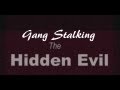 Gang Stalking ~ What is it?