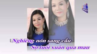 Hoa Điên Điển - Full Beat [ Dương Hồng Loan ]