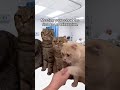 Meeting your cohort