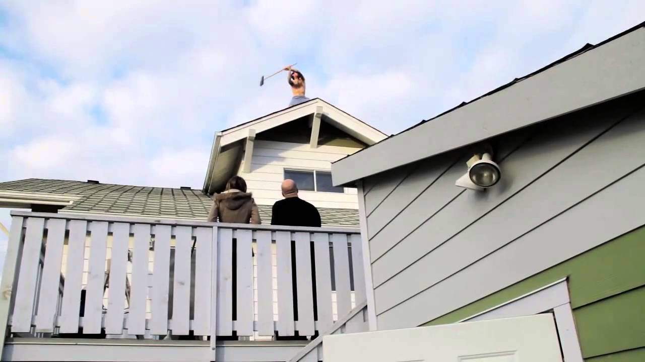 How to Keep Seagulls Away YouTube