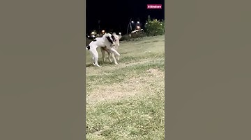 Best friend forever || IIT INDORE || #iitindore#iitvlogs#friendshipgoals#reels#vlogs#shorts#jee