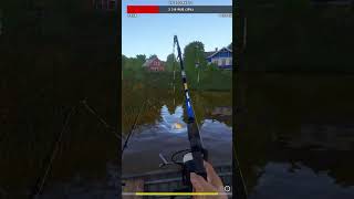 ПОЙМАЛ ТРОФЕЙНОГО ЛИНЯ ЗОЛОСТИСТОГО!!! #русскаярыбалка4 #russianfishing4 #линь