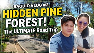 Sweet escape at Baguio part2 #unwind #nature