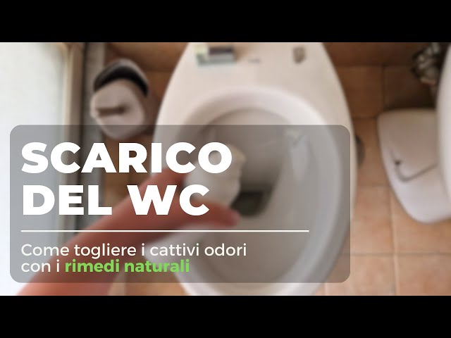 Come togliere i cattivi odori dallo scarico del WC in modo naturale 