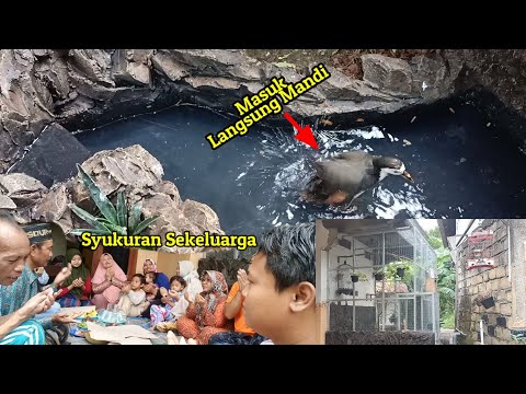 Mini aviary jadi, slametan tipis-tipis, ruak-ruak masuk langsung mandi 😎😎😎