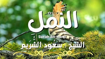 سورة النمل / المصحف المرتل / الشيخ سعود الشريم / Surah An-naml / Sheikh Saud Al Shuraim
