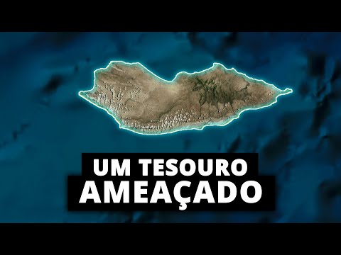Vídeo: Quem controla a ilha de socotra?