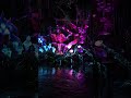Avatar Na'vi River Journey #animatronics #disneyworld #avatar #pandora cost $23 million