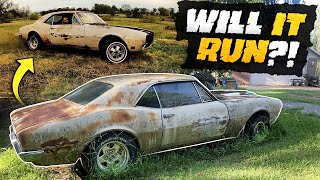 From ABANDONED to HOTROD. 1967 Firebird WILL IT RUN (fast edition).