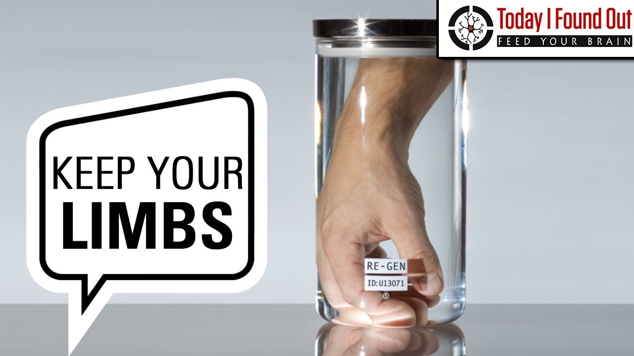 will hospitals give back an amputated limb if you ask for it youtube