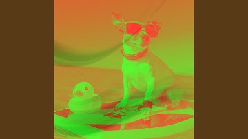 Pulsating Ambience for Stressed Out Dogs