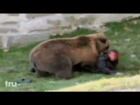 Bear Attacks man in zoo ( viewers discretion is advised )