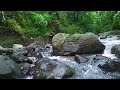 Water Flowing in a Mountain Forest 24/7. Riverl Sounds, Flowing Water. White Noise for Sleep.
