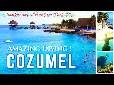 Snorkeling Diving Isla Cozumel, Mexico ! Exploring Chankanaab Adventure Park (Part 2)
