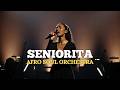 SEÑORITA 🔥 Afro Soul Orchestra Version | Romantic Latin Soul Vibes 🎻💃