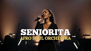 Seorita  Afro Soul Orchestra Version  Romantic Latin Soul Vibes 