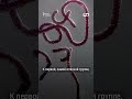 Секретная лаборатория на острове в России