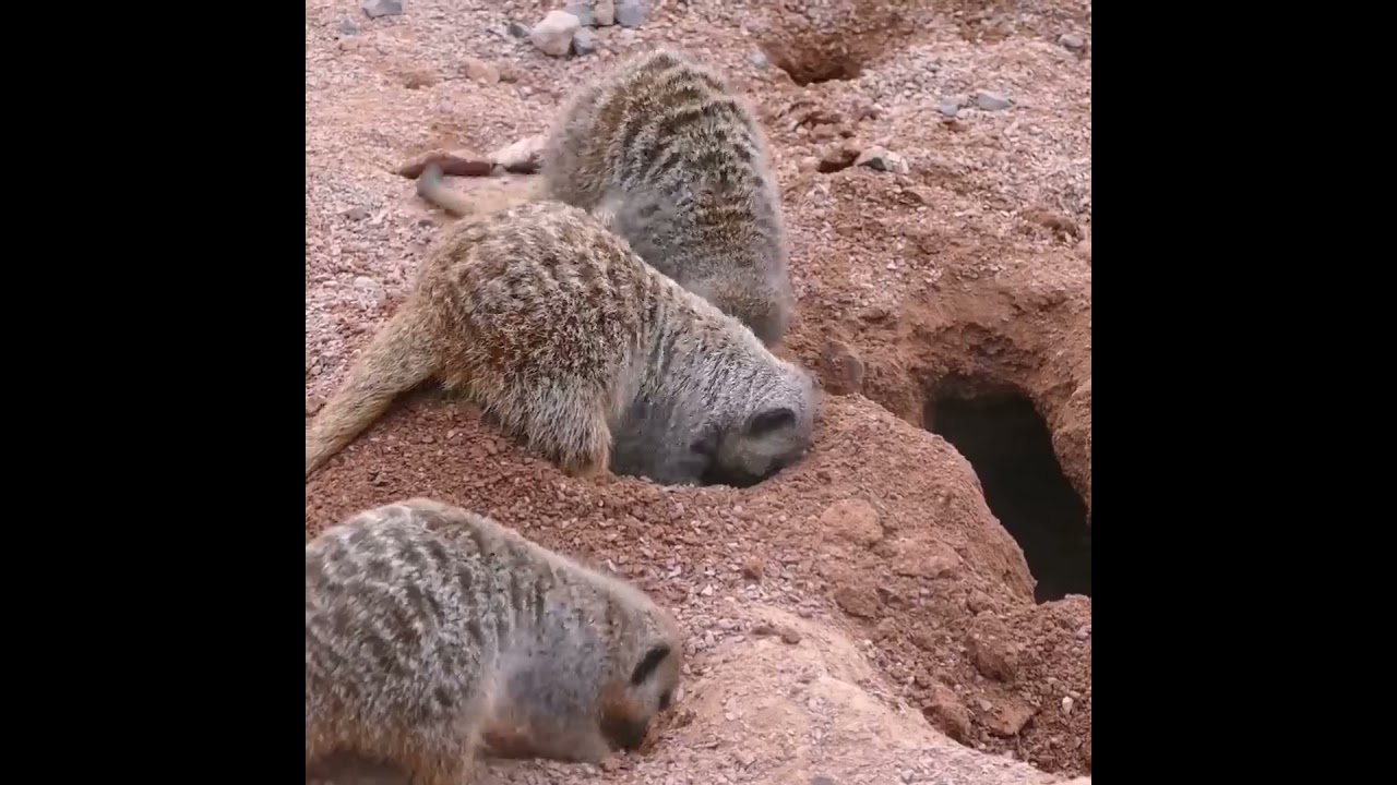 "Can you take over here?"