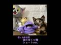 猫のあくび集ショートver #猫 # #保護猫