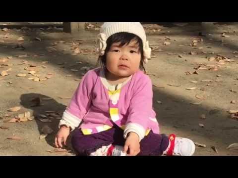 冬の公園で落ち葉と遊ぶ１歳３ヶ月の赤ちゃん