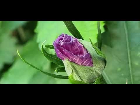 Fietsen jullie weer mee naar Gemonde  St Michielsgestel en Boxtel ??????????????????