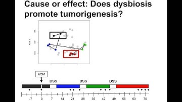 Schloss presentation at 2014 AACR Meeting