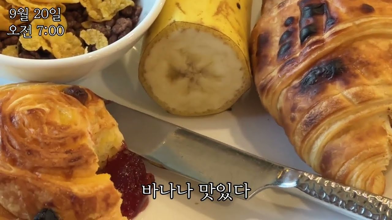 베트남 Hanoi 여행 먹방 브이로그 🚨위생 눈감고 먹음🚨 하롱베이 칼리스타 크루즈 효도여행🚢 Calista Cruise