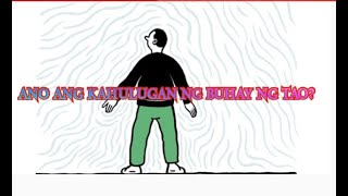 ANG KAHULUGAN NG BUHAY NG TAO II BAKIT KA NABUBUHAY SA MUNDO?