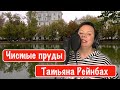 Татьяна Рейнбах - Чистые пруды