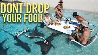 Dinner with SHARKS!! Would YOU do it? 😱
