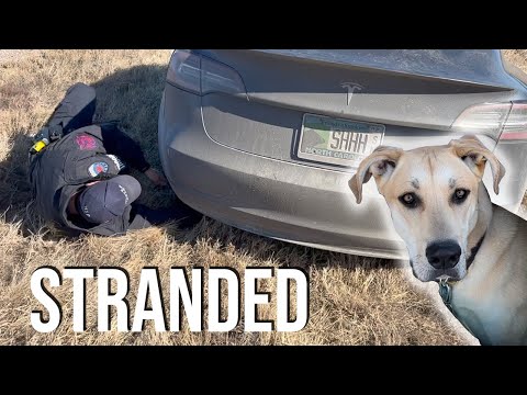 Tesla Model 3 Performance Road-trip Disaster!