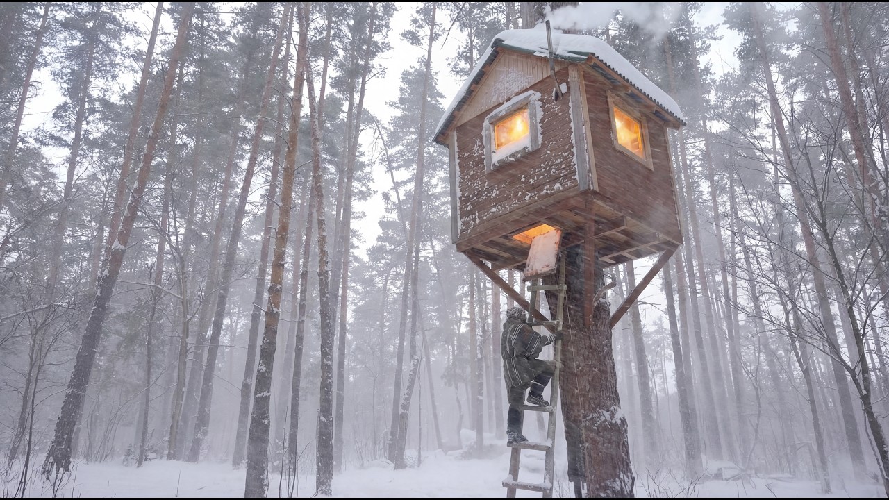 A Treehouse Saved Him from a Blizzard | 24 Hours Alone in the Wilderness
