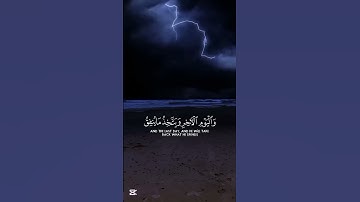 الحمد لله دائما وابدا 🧏 #آيات_قرانيه