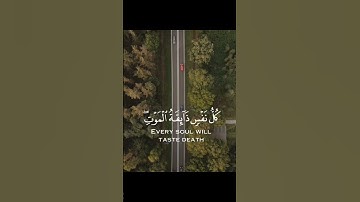 قرآن كريم سوره العنكبوت (57 إلى 58) عبد الرحمن مسعد