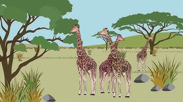 Understanding autism: A behavior-analytic perspective