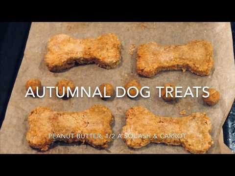 How to: Autumn Peanut Butter & Squash Dog Treats