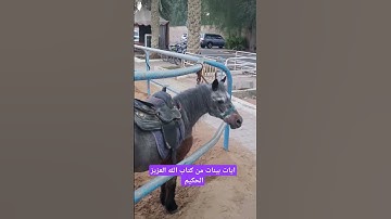 آيات بينات من كتاب الله العزيز الحكيم الغفور الرحيم #كن_مع_الله_ولا_تبالي #قران_كريم