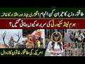 Why Donald Trump Removed Kristi Noem? The Untold Story of Power &amp; Scandals || S Pakistan