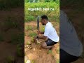découvert sur le lac.   très important à savoir, aventure inspirante #africa