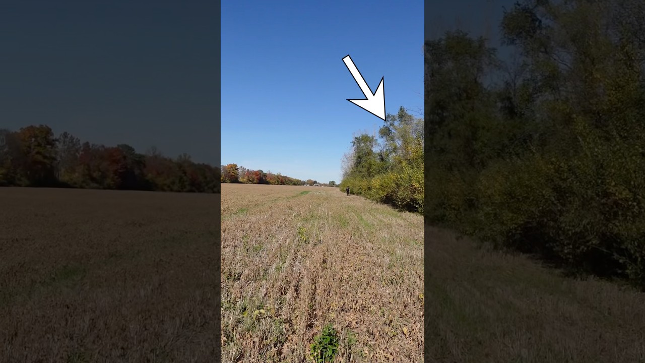 FISHING HIDDEN POND FOR BASS