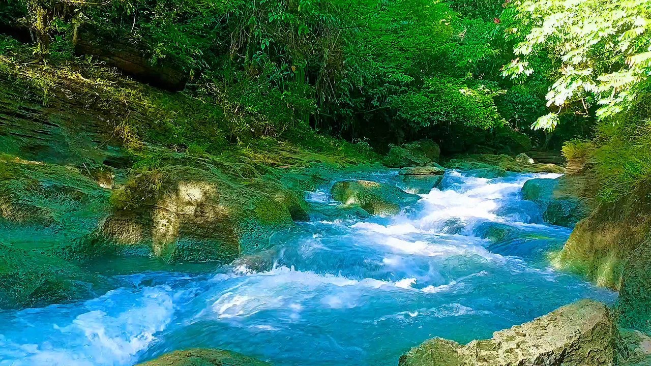 Deep Focus River Sounds 📚 Forest Stream ASMR for Studying & Working
