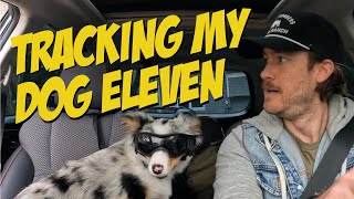 FitBark 2 GPS Review screenshot 2