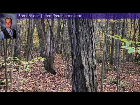 280 Rathbun Hill Rd, Whitney Point, NY home video tour